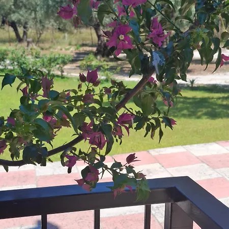Georgia Stafylos